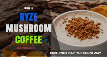Ryze Mushroom Coffee: Supercharge Your Morning Brew