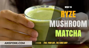 Ryze's Mushroom Matcha: A Healthy Energy Drink