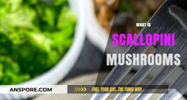 Scallopini Mushrooms: What Are They?