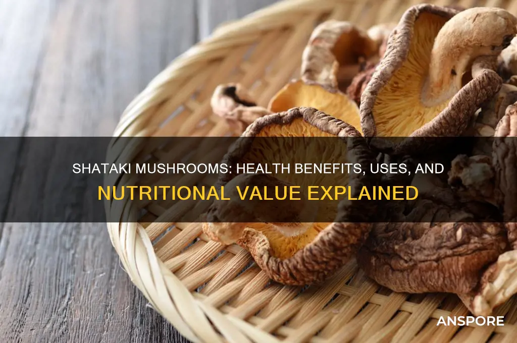 what is shataki mushrooms good for