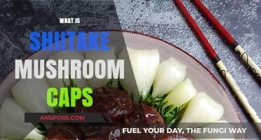 Shiitake Mushroom Caps: Superfood for Your Health