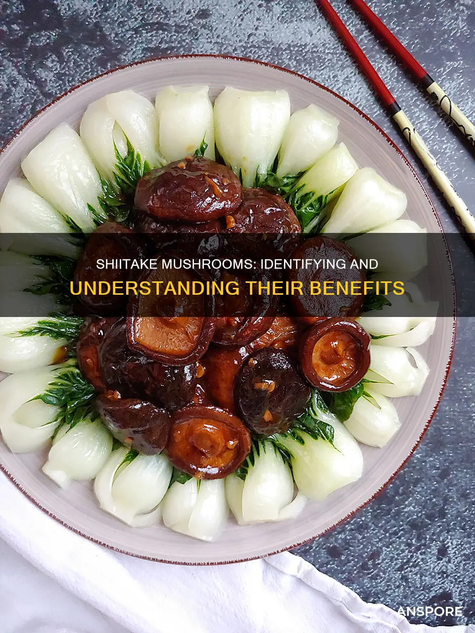 what is shiitake mushroom picture