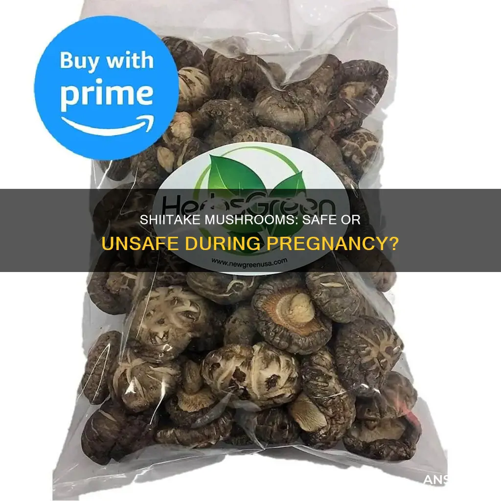 what is shiitake mushroom pregnancy