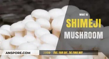 Shimeji Mushrooms: A Tasty and Healthy Treat