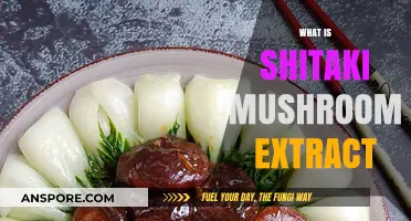 Shiitake Mushroom Extract: Nature's Superfood
