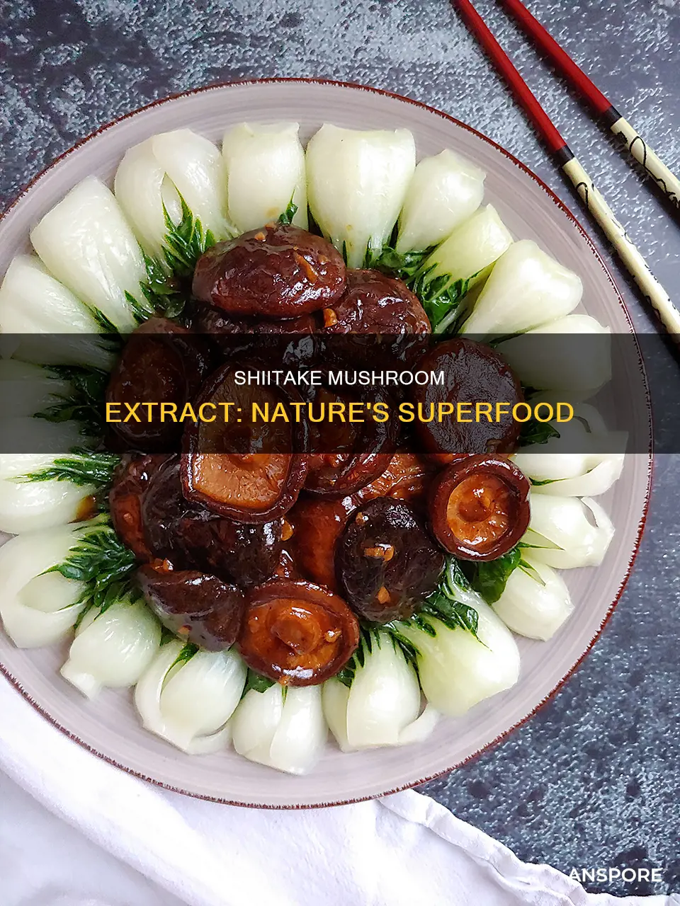 what is shitaki mushroom extract