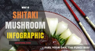 Shitake Mushrooms: Nutrition Facts and Health Benefits