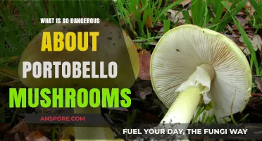 Portobello Mushrooms: Uncovering Hidden Dangers in a Kitchen Favorite