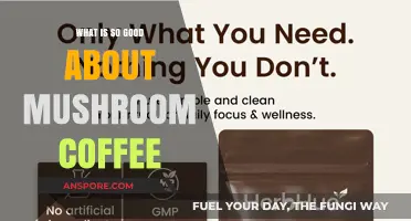 Mushroom Coffee Benefits: Boost Energy, Focus, and Immune Health Naturally