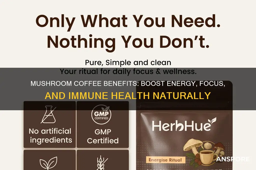 what is so good about mushroom coffee