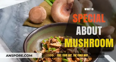 Mushrooms: Nature's Magical Superfood