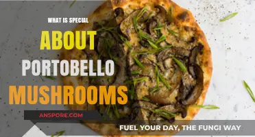 Portobello Mushrooms: Unveiling Their Unique Flavor, Texture, and Culinary Versatility