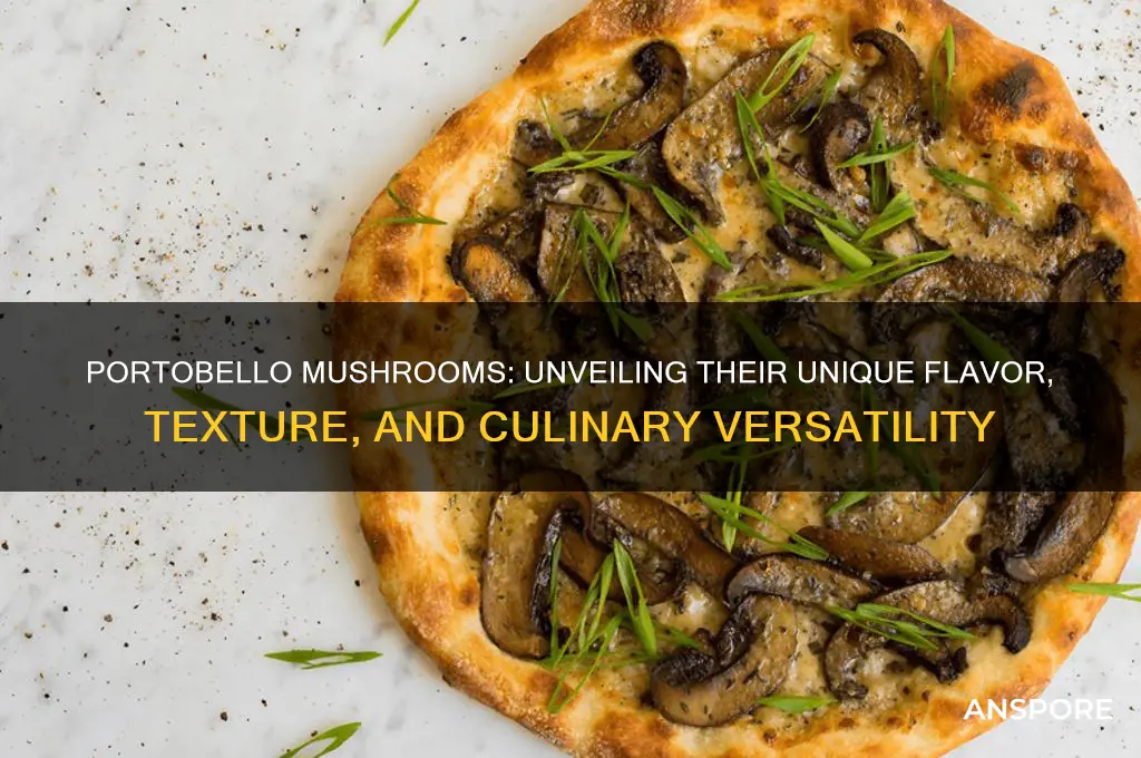 what is special about portobello mushrooms