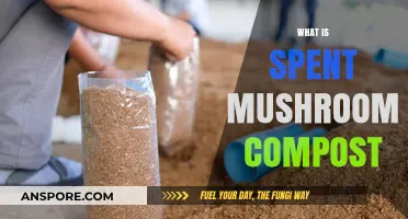 Mushroom Compost: Benefits and Uses for Your Garden