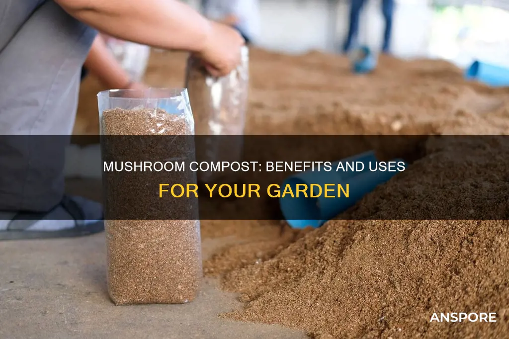 what is spent mushroom compost