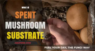 Mushroom Substrate: Spent but Not Useless