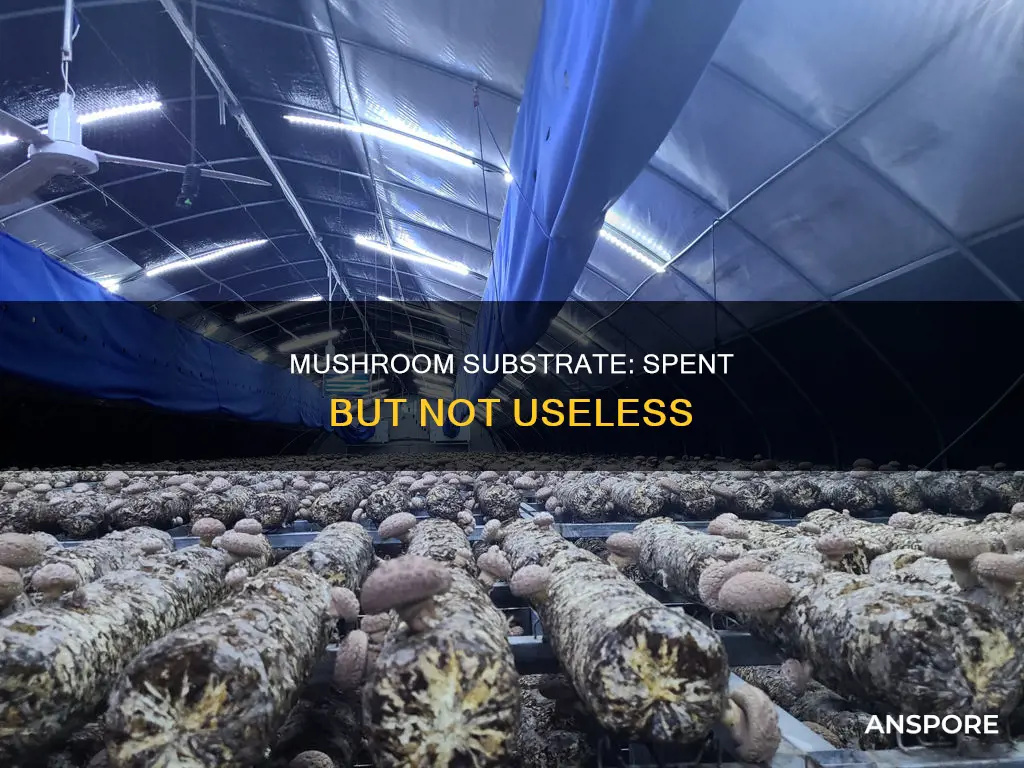 what is spent mushroom substrate