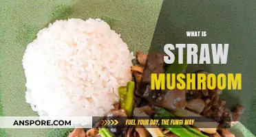 Explore the Unique Straw Mushroom