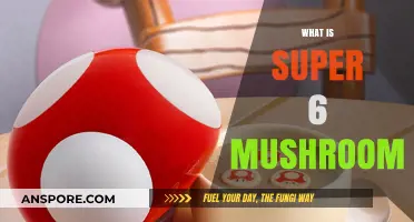 Powerful Super 6 Mushrooms: Nature's Ultimate Health Boost