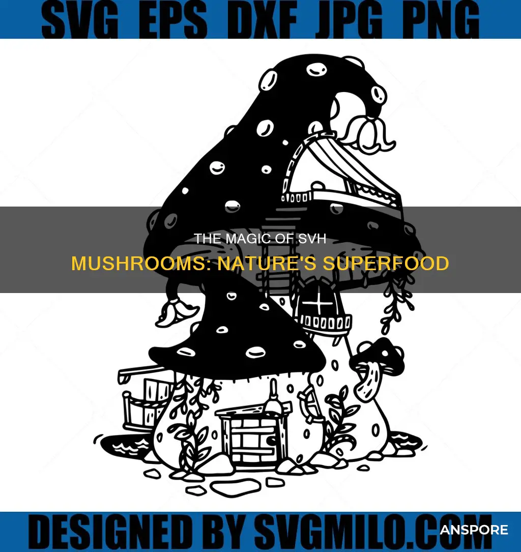 what is svh mushrooms