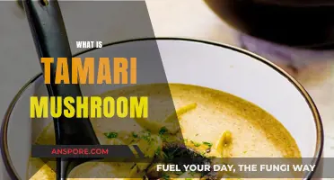 Delicious Tamari Mushrooms: A Healthy, Savory Treat