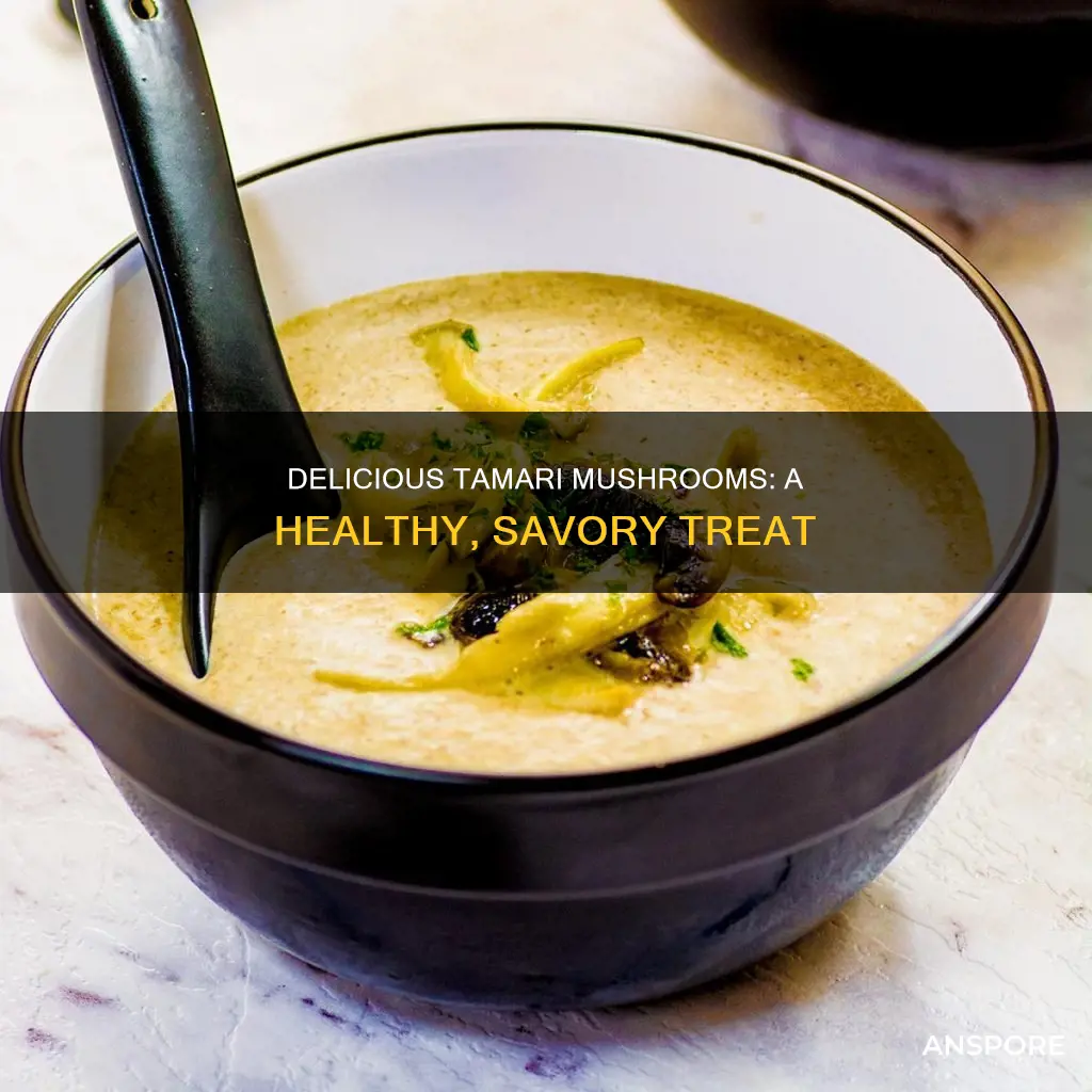 what is tamari mushroom