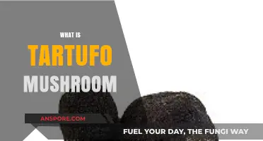 Tartufo Mushrooms: Italy's Truffle-Like Delicacy