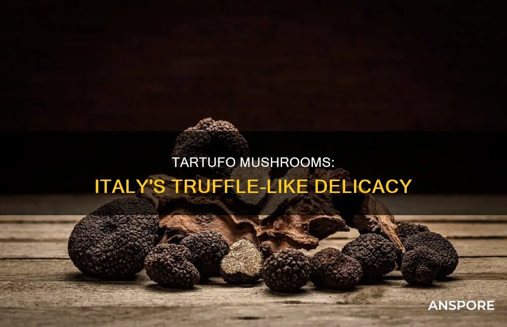what is tartufo mushroom
