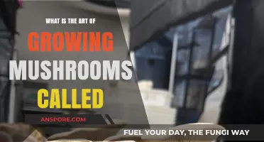 The Fascinating World of Mushroom Cultivation: Unveiling the Art of Mycology