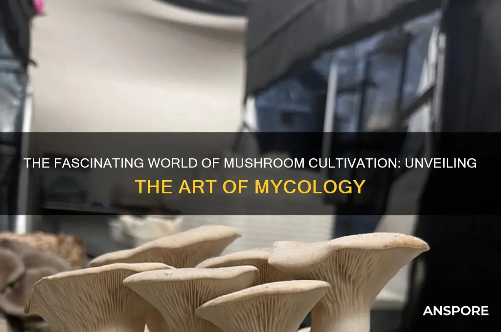 what is the art of growing mushrooms called