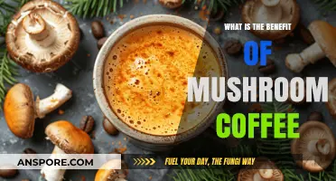 Boost Energy and Focus: Discover Mushroom Coffee's Unique Health Benefits
