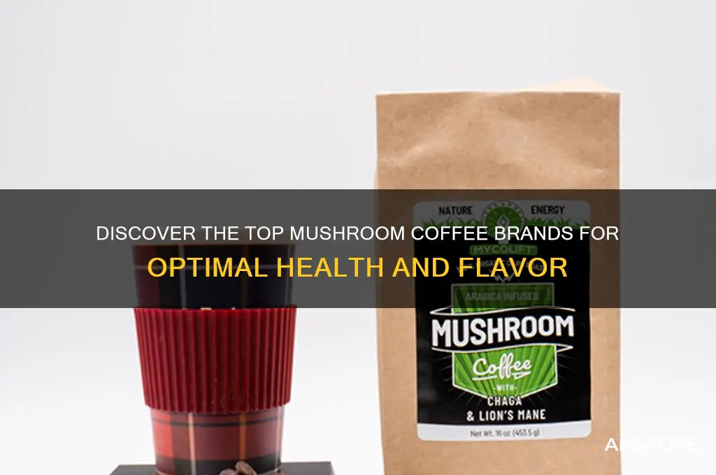 what is the best mushroom coffee on the market