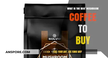 Discover the Top Mushroom Coffee Brands for Optimal Health and Flavor