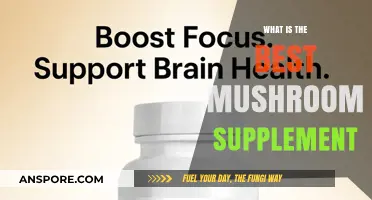 Discover the Top Mushroom Supplement for Optimal Health Benefits