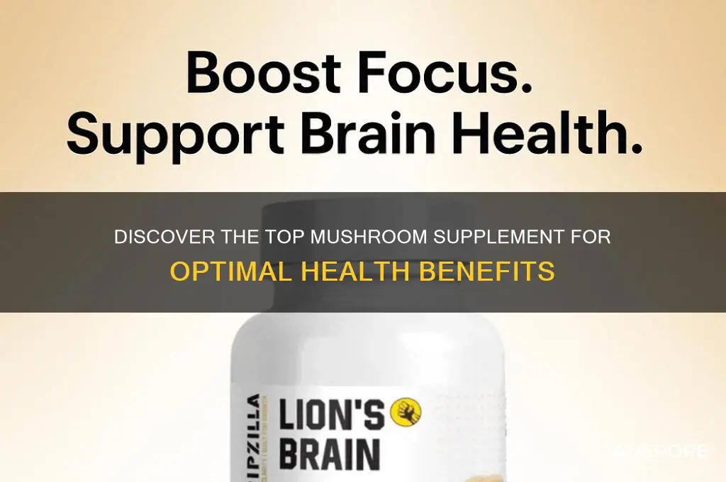 what is the best mushroom supplement