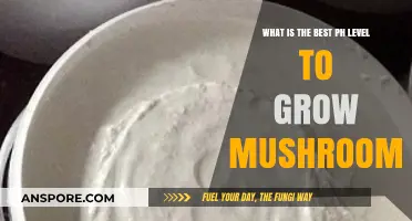Optimal pH Levels for Mushroom Cultivation: A Comprehensive Guide