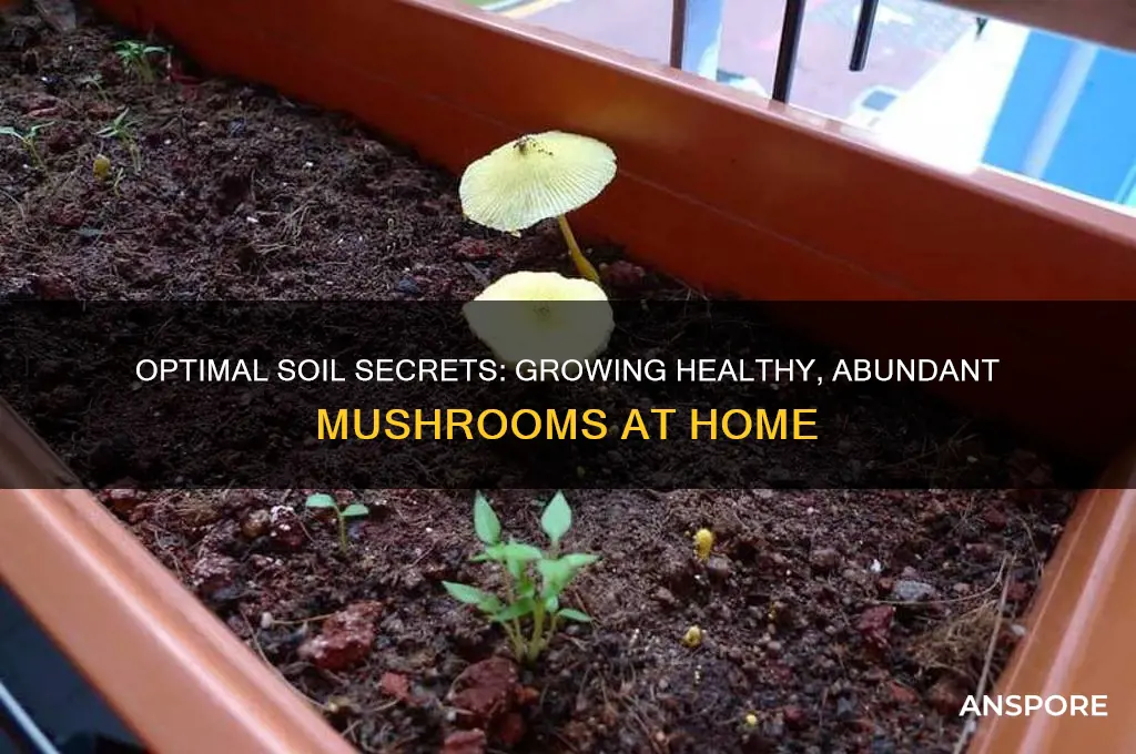 what is the best soil for growing mushrooms