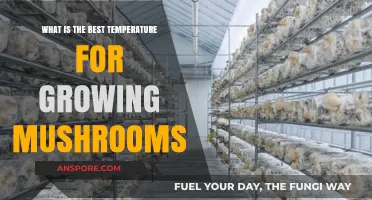 Optimal Mushroom Growth: Discover the Perfect Temperature for Cultivation