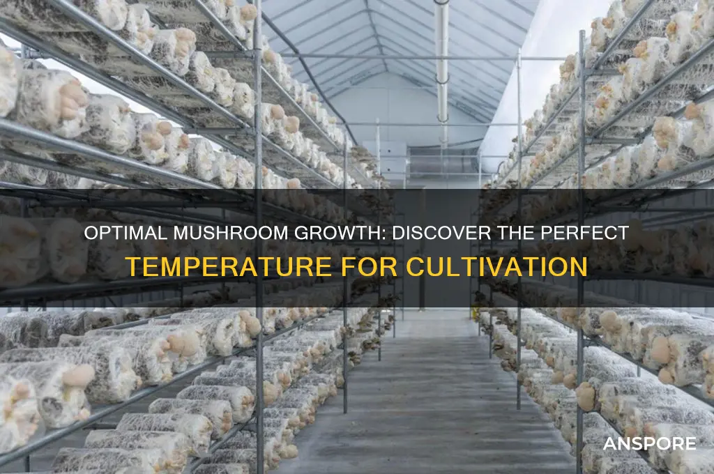 what is the best temperature for growing mushrooms