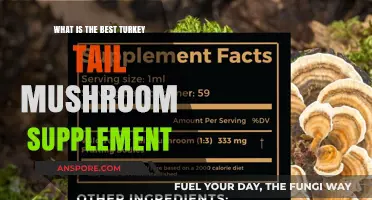 Top Turkey Tail Mushroom Supplements: Benefits, Dosage, and Reviews