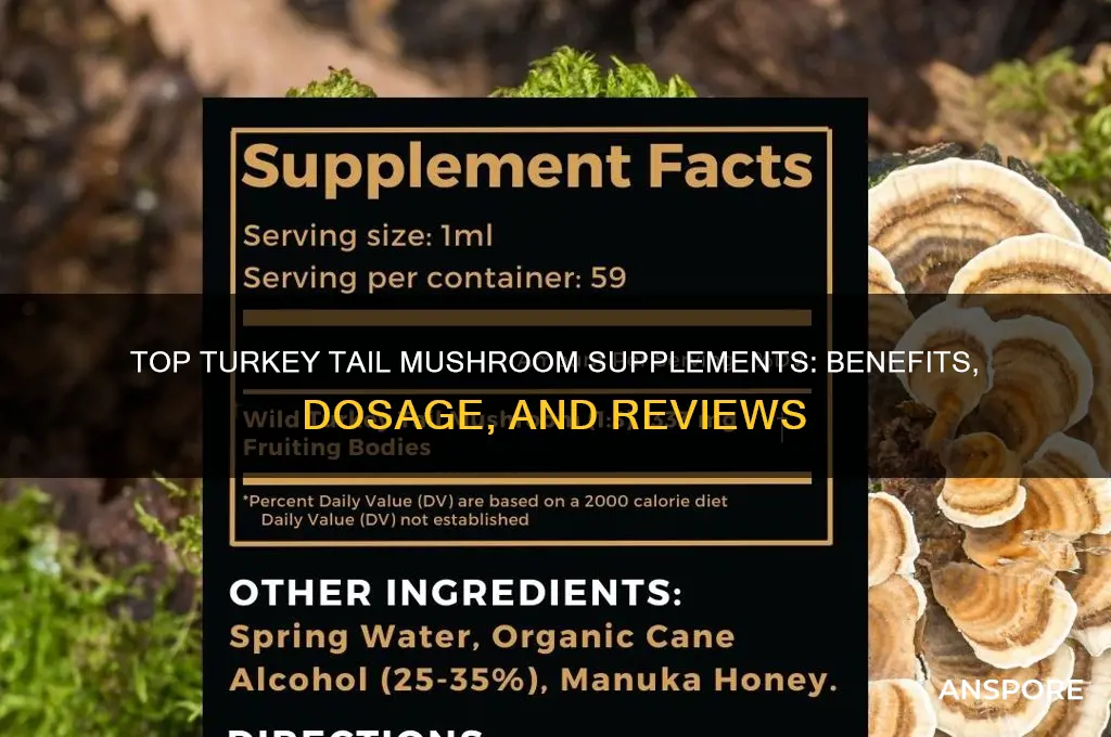 what is the best turkey tail mushroom supplement