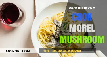 Mastering Morel Mushrooms: Top Cooking Techniques for Perfect Flavor
