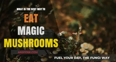 Safe and Mindful Ways to Consume Magic Mushrooms Effectively