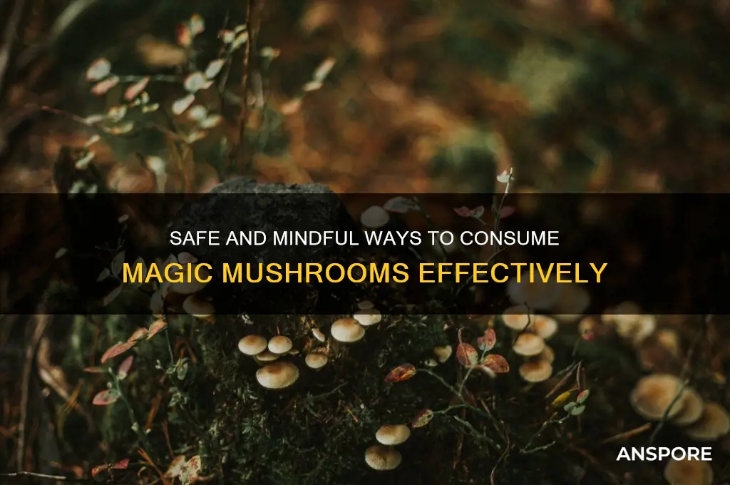 what is the best way to eat magic mushrooms