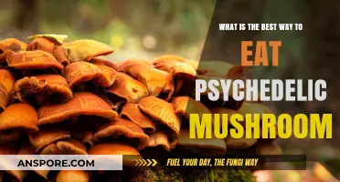 Exploring Psychedelic Mushrooms: Safe and Optimal Consumption Methods