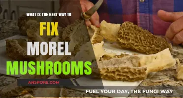 Mastering Morel Mushrooms: Top Techniques for Perfect Preservation and Preparation