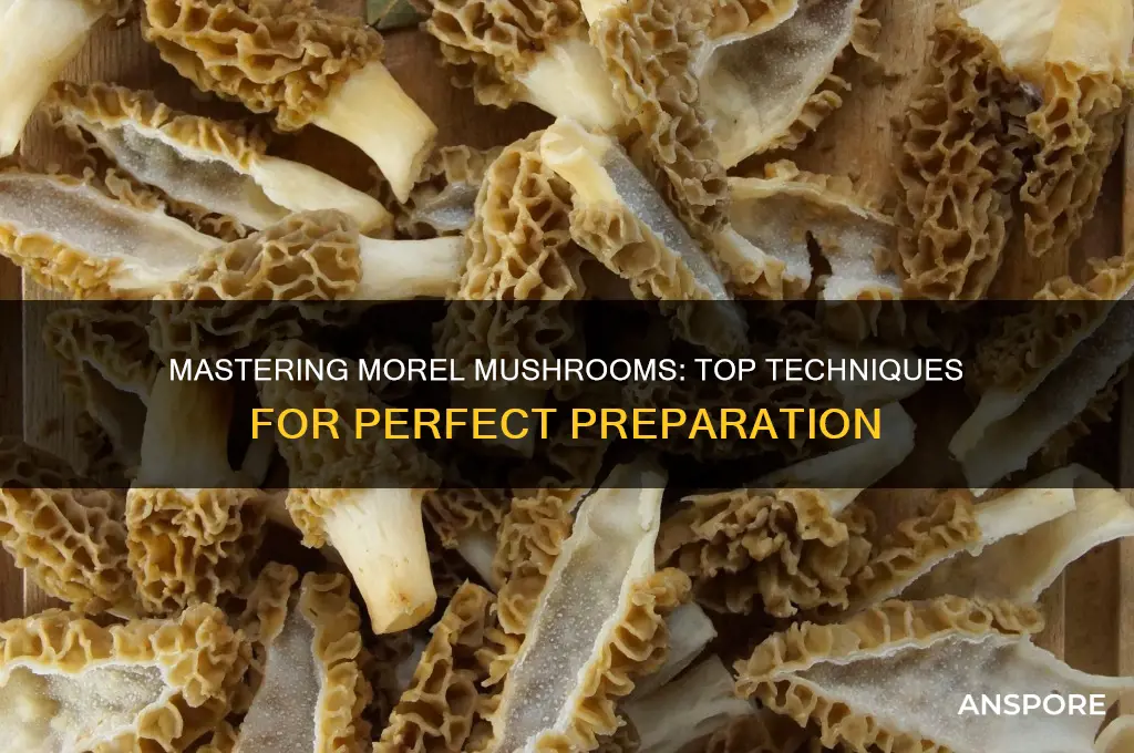 what is the best way to make a morel mushroom
