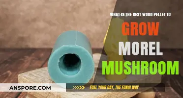 Top Wood Pellets for Growing Morel Mushrooms: Expert Recommendations