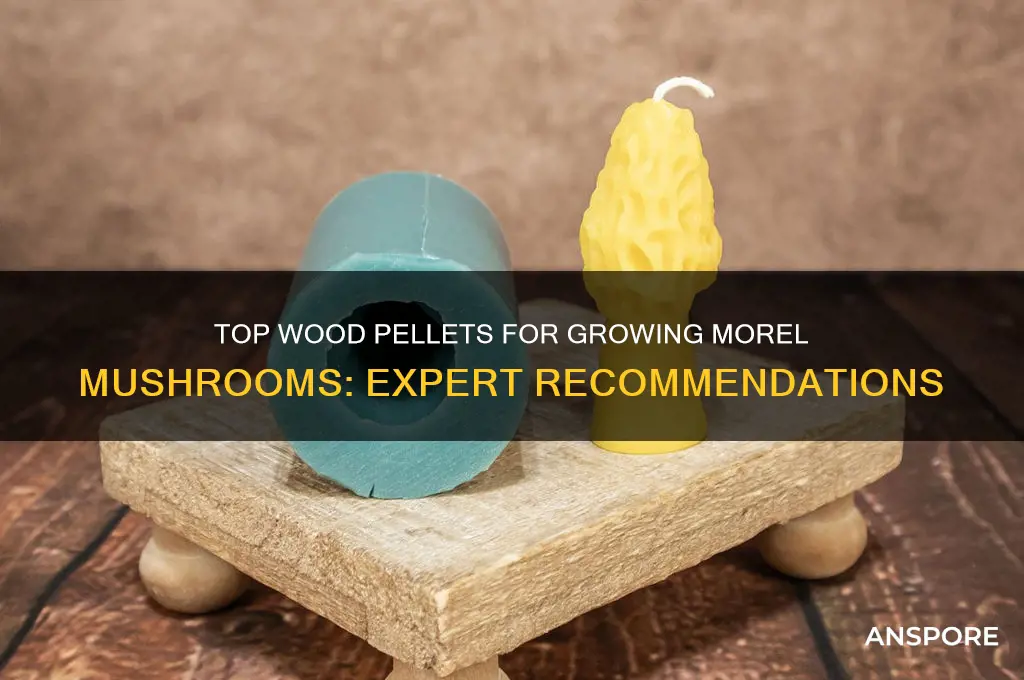 what is the best wood pellet to grow morel mushrooms