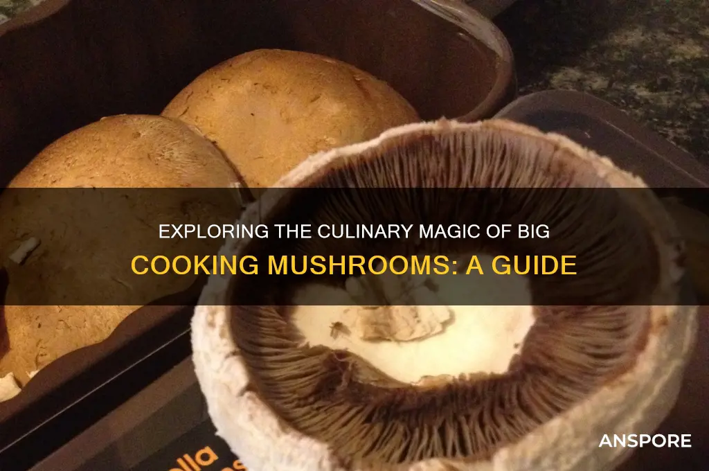 what is the big cooking mushrooms